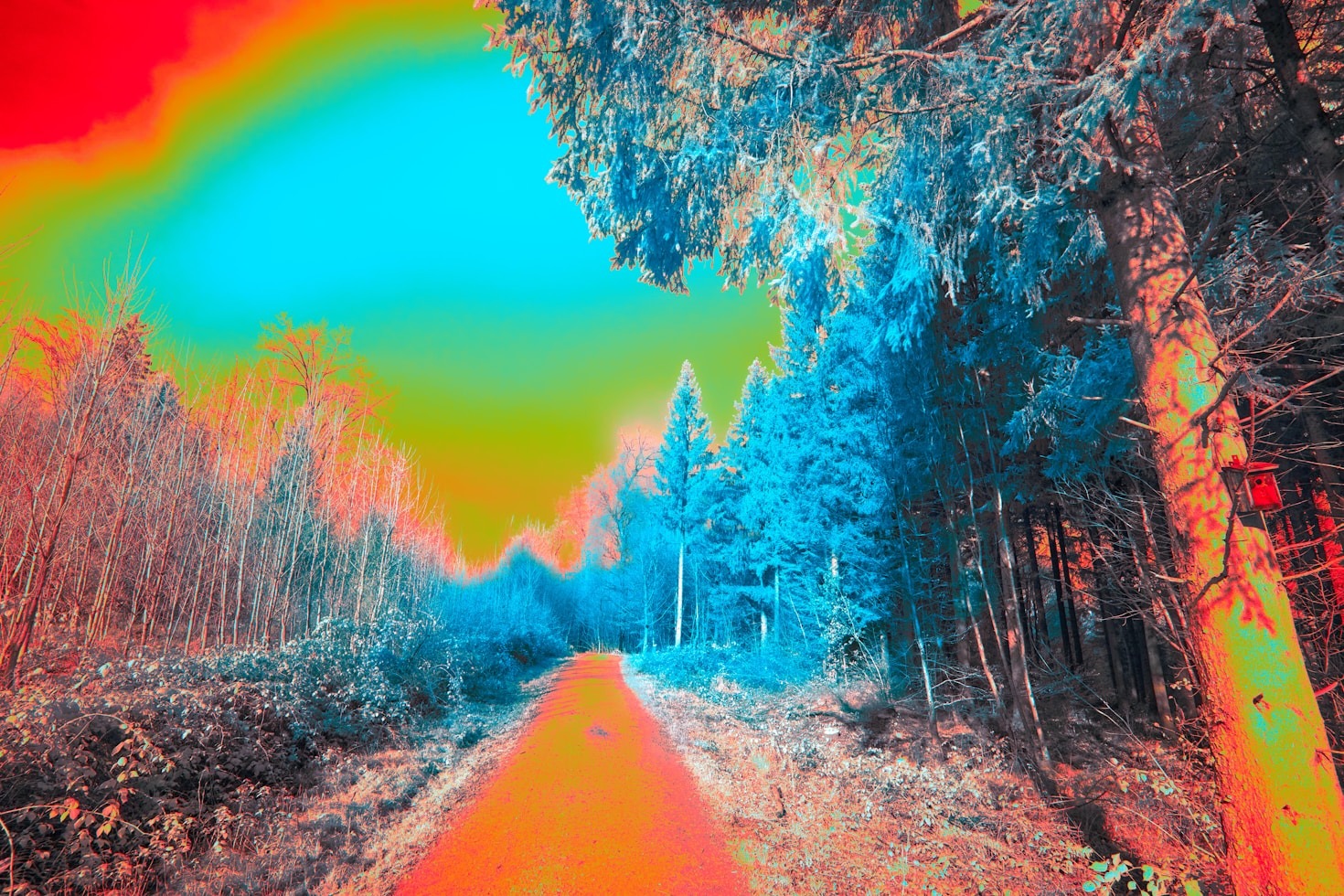 10 Tips for Capturing Perfect Infrared Landscapes