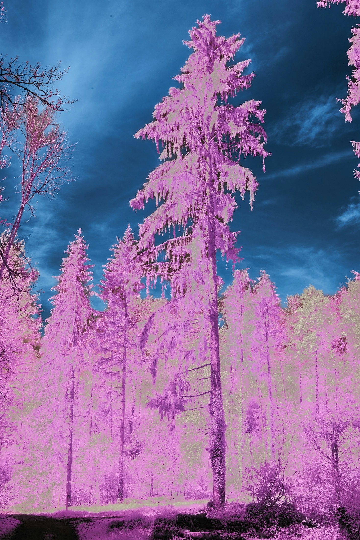 Understanding Light in Full-Spectrum Imaging