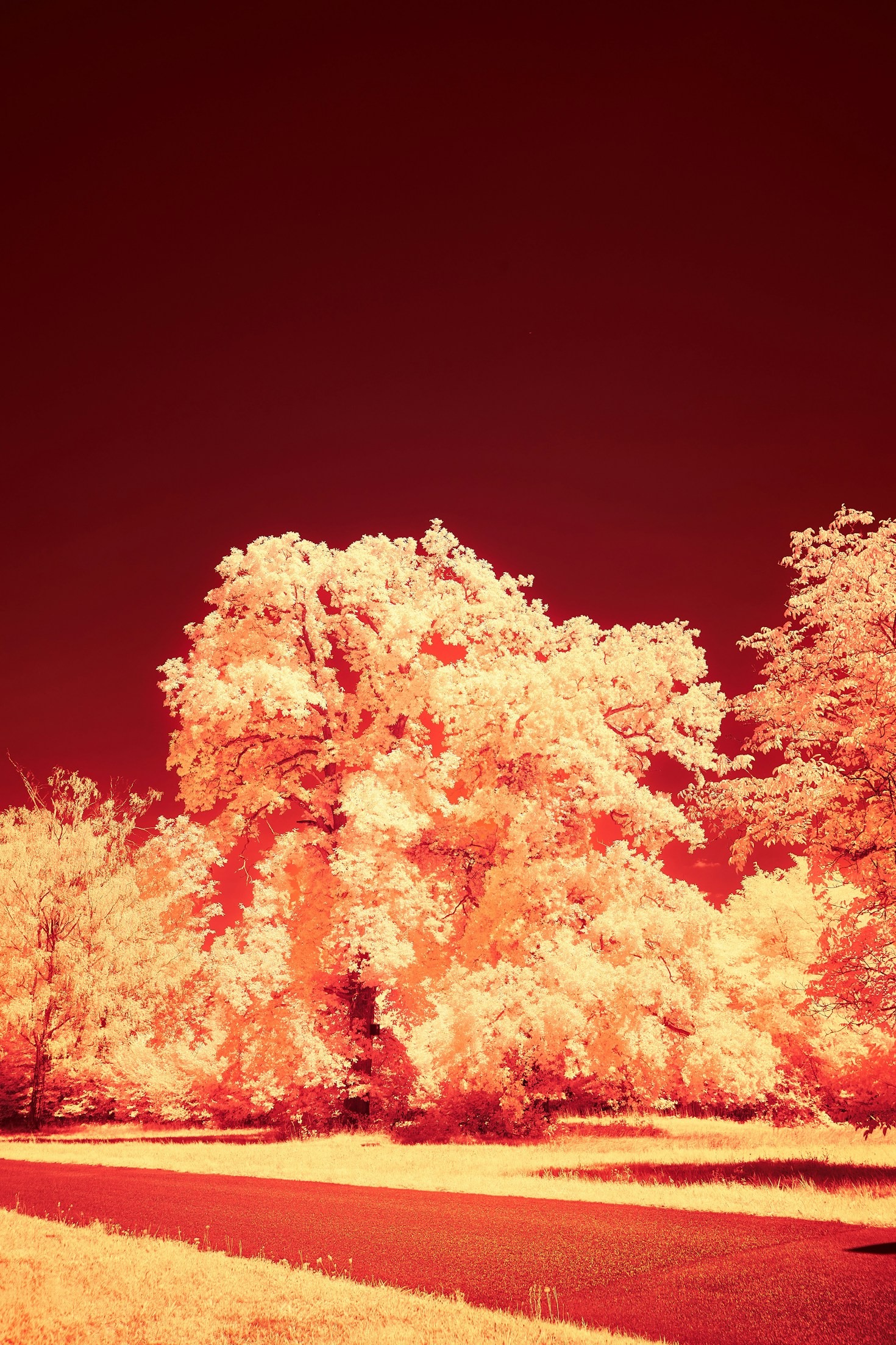 Advanced Editing Techniques for Infrared Images